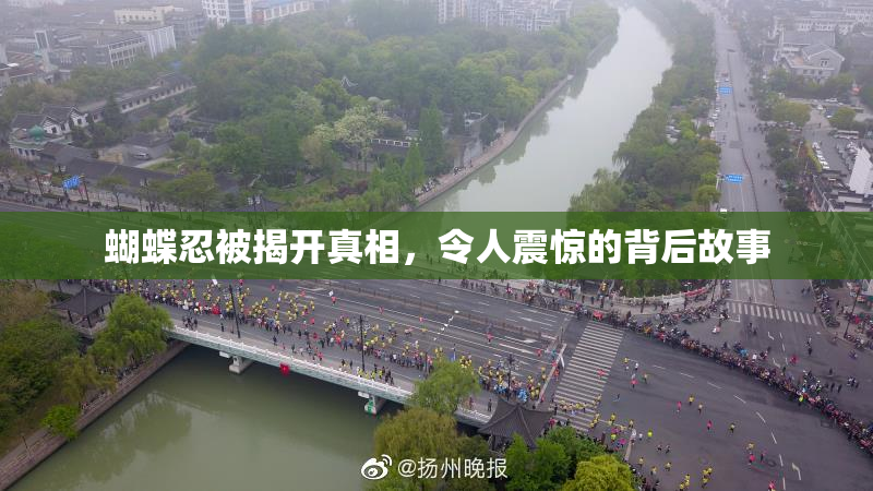 蝴蝶忍被揭开真相，令人震惊的背后故事