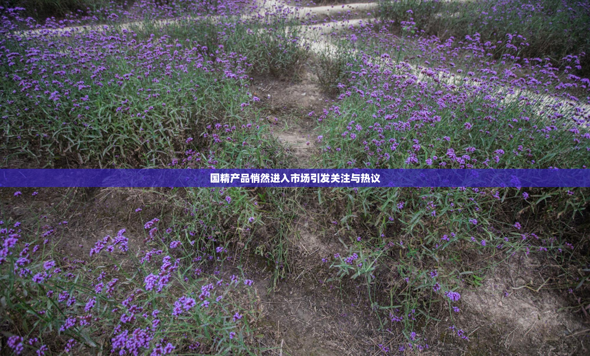 国精产品悄然进入市场引发关注与热议