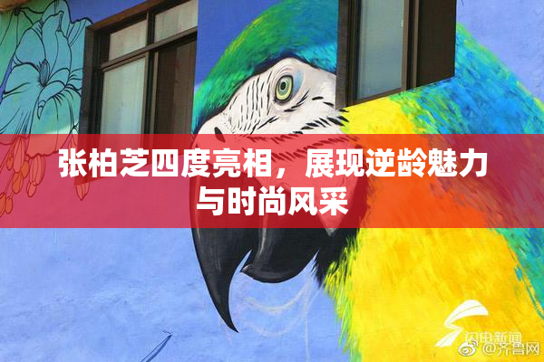 张柏芝四度亮相，展现逆龄魅力与时尚风采
