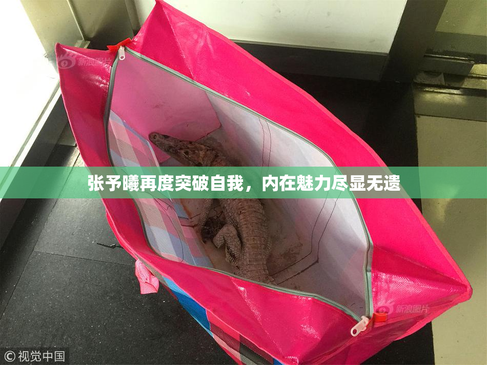 张予曦再度突破自我，内在魅力尽显无遗