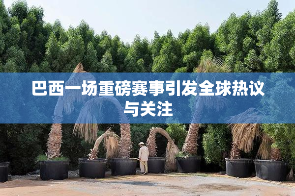 巴西一场重磅赛事引发全球热议与关注