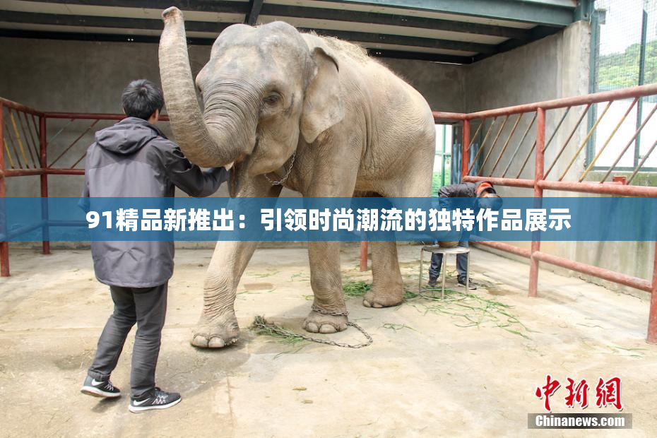 91精品新推出：引领时尚潮流的独特作品展示