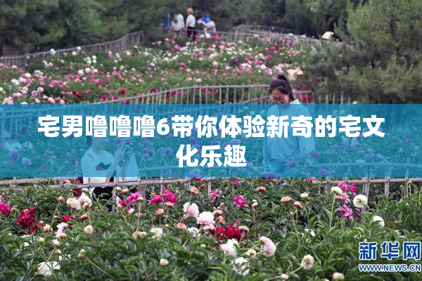 宅男噜噜噜6带你体验新奇的宅文化乐趣