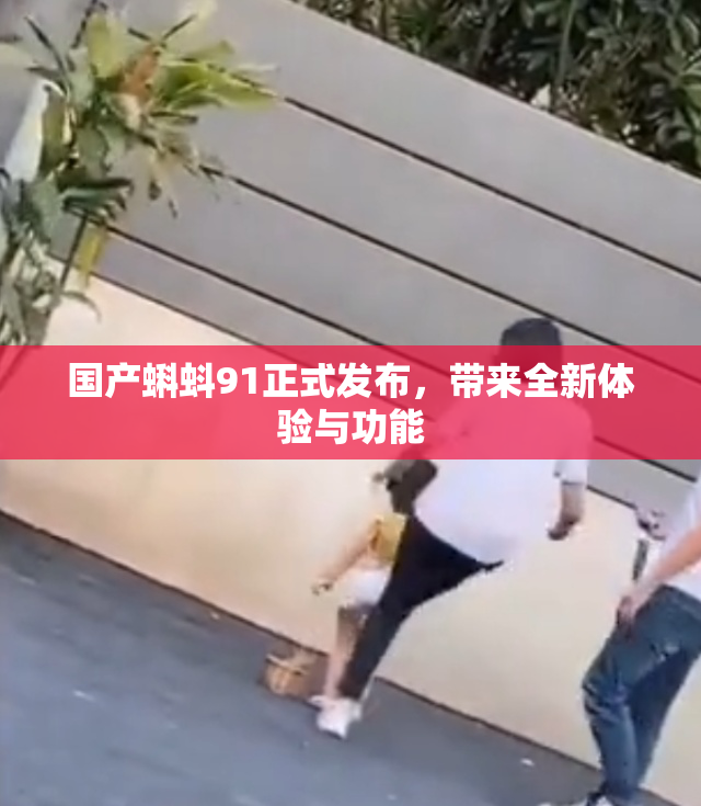 国产蝌蚪91正式发布，带来全新体验与功能