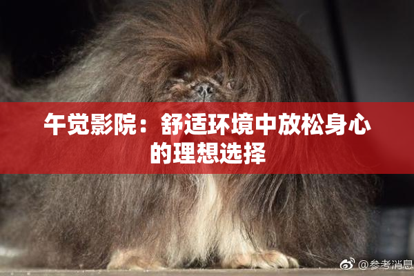 午觉影院：舒适环境中放松身心的理想选择