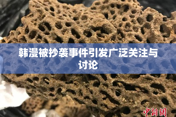 韩漫被抄袭事件引发广泛关注与讨论