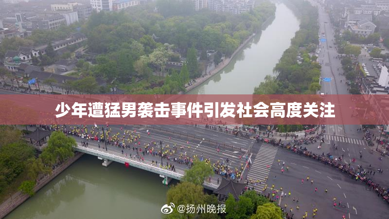 少年遭猛男袭击事件引发社会高度关注