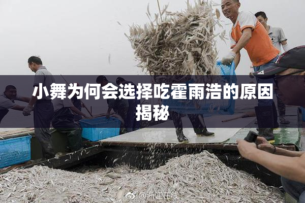 小舞为何会选择吃霍雨浩的原因揭秘