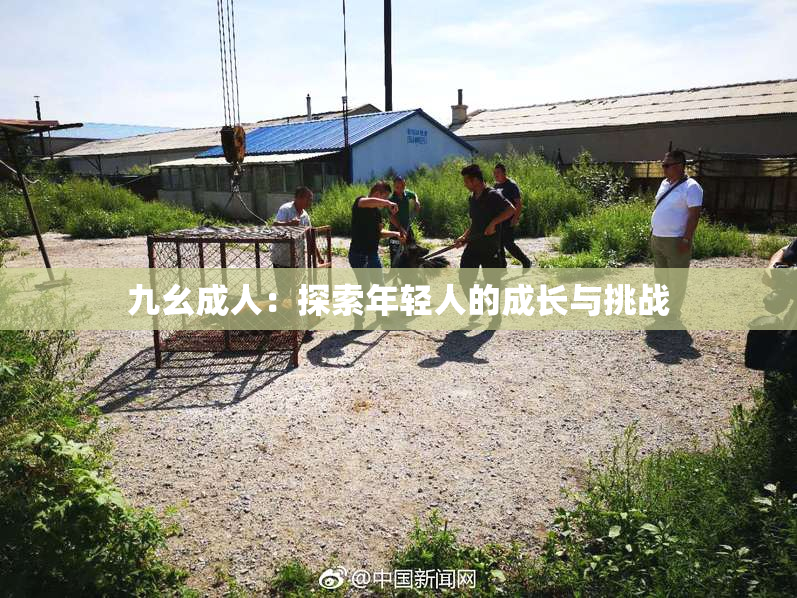 九幺成人：探索年轻人的成长与挑战