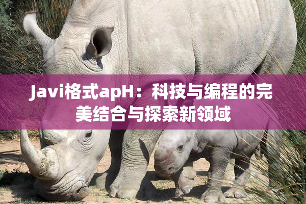 Javi格式apH：科技与编程的完美结合与探索新领域
