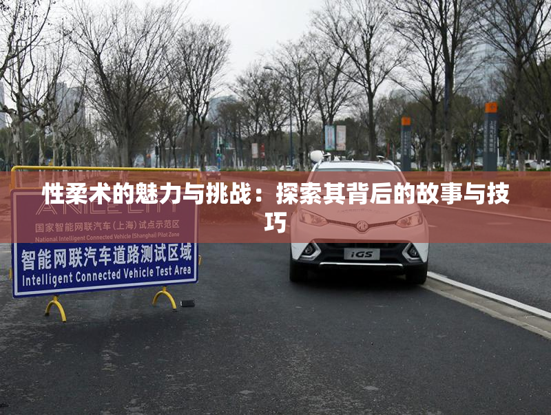 性柔术的魅力与挑战：探索其背后的故事与技巧