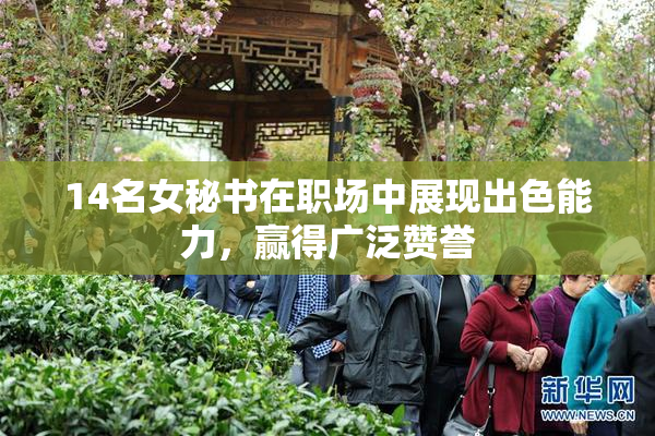 14名女秘书在职场中展现出色能力，赢得广泛赞誉