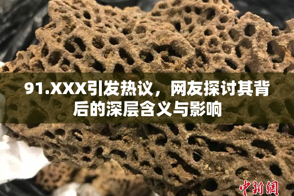 91.XXX引发热议，网友探讨其背后的深层含义与影响