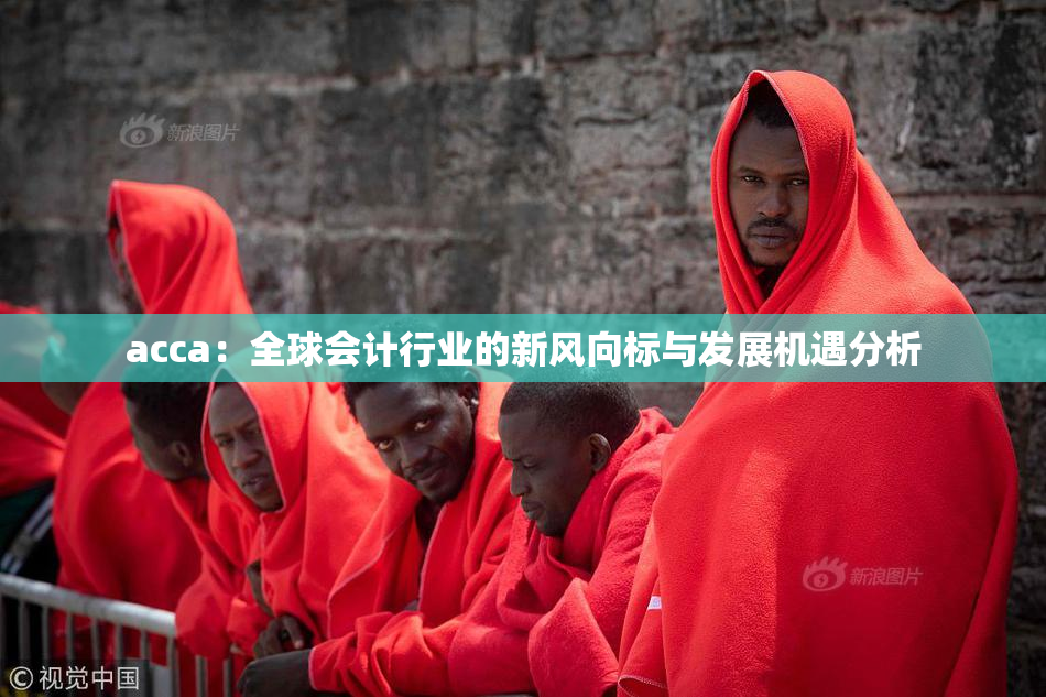 acca：全球会计行业的新风向标与发展机遇分析