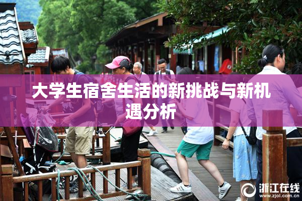 大学生宿舍生活的新挑战与新机遇分析