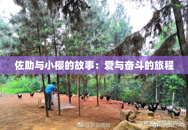 佐助与小樱的故事：爱与奋斗的旅程