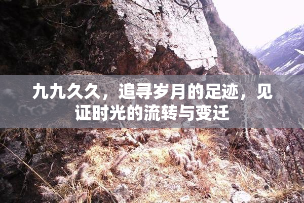 九九久久，追寻岁月的足迹，见证时光的流转与变迁