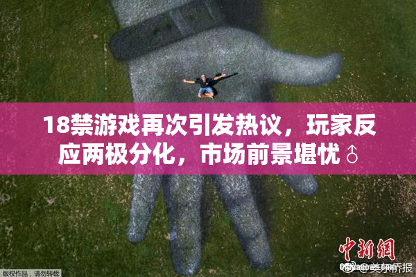 18禁游戏再次引发热议，玩家反应两极分化，市场前景堪忧♂