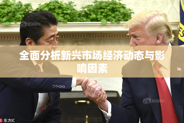 全面分析新兴市场经济动态与影响因素