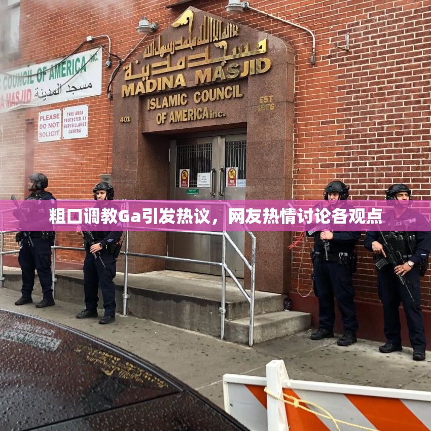 粗口调教Ga引发热议，网友热情讨论各观点