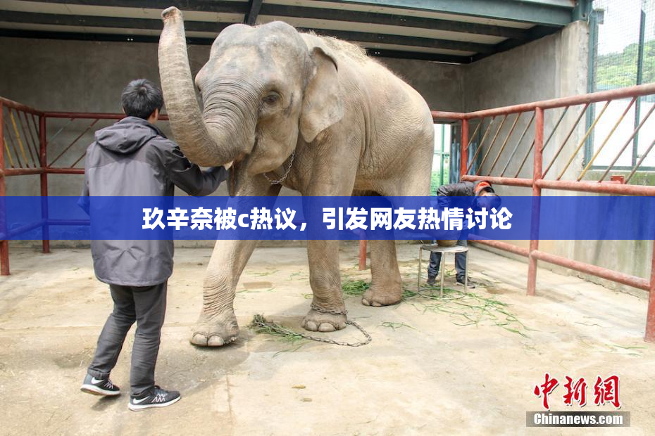 玖辛奈被c热议，引发网友热情讨论