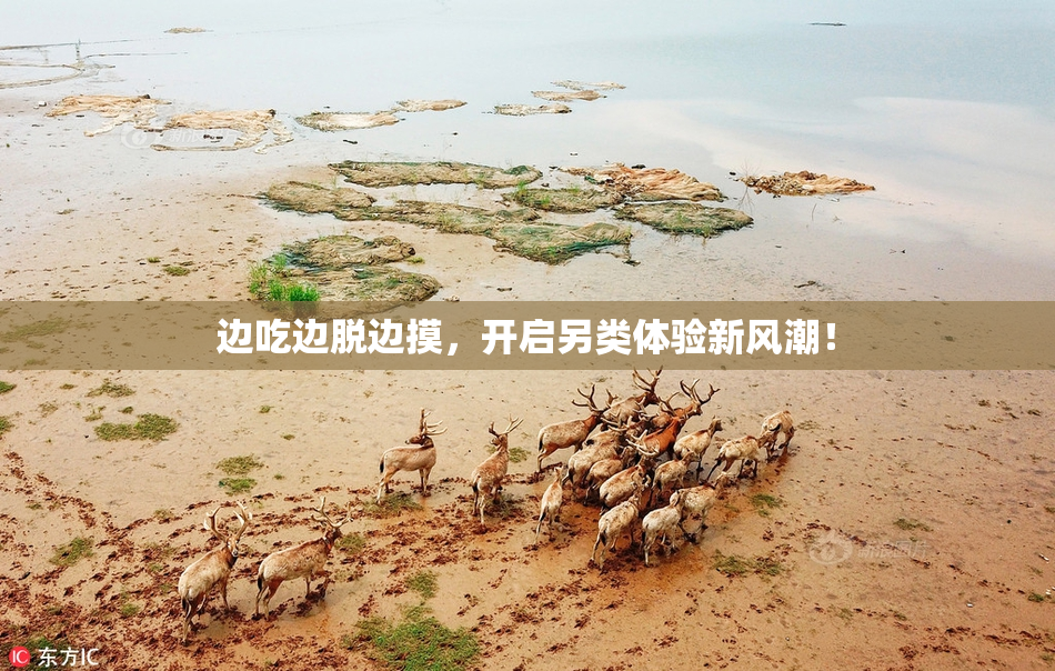 边吃边脱边摸，开启另类体验新风潮！