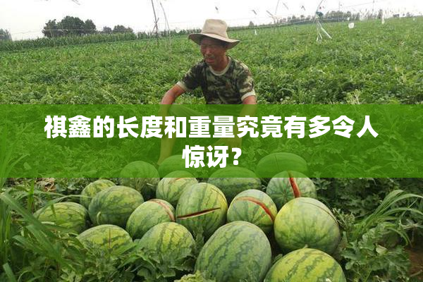 祺鑫的长度和重量究竟有多令人惊讶？