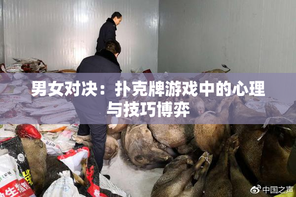 男女对决：扑克牌游戏中的心理与技巧博弈