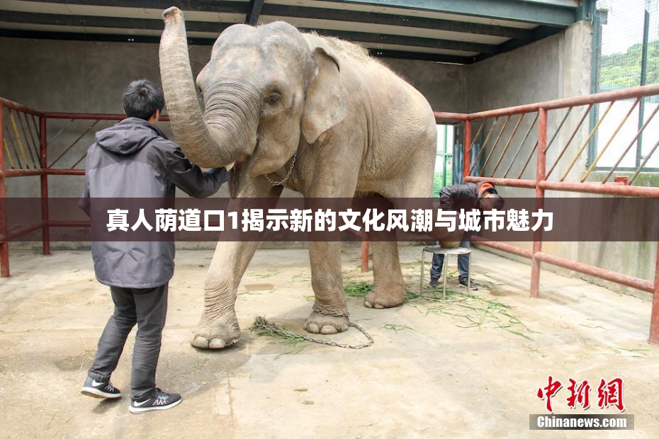 真人荫道口1揭示新的文化风潮与城市魅力