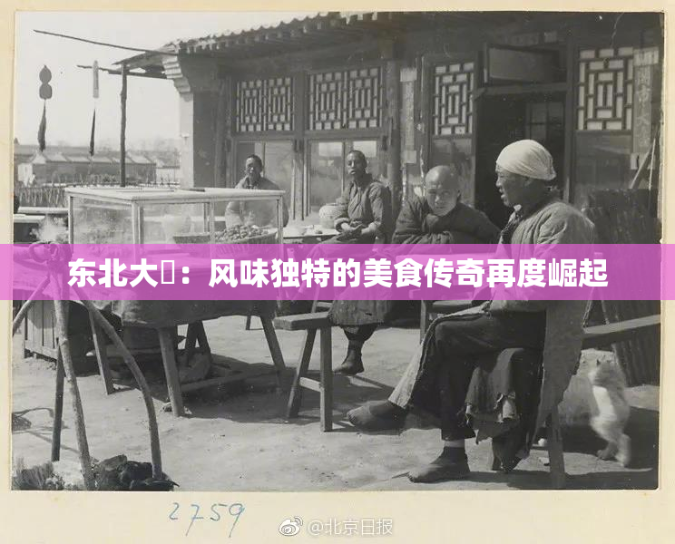东北大鷄：风味独特的美食传奇再度崛起