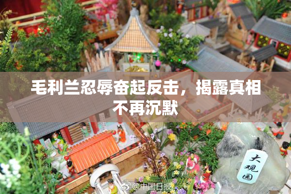 毛利兰忍辱奋起反击，揭露真相不再沉默