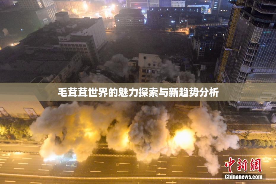 毛茸茸世界的魅力探索与新趋势分析