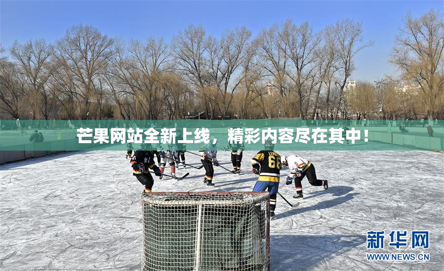 芒果网站全新上线，精彩内容尽在其中！