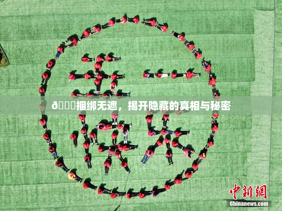 🔞捆绑无遮，揭开隐藏的真相与秘密