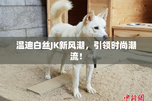 温迪白丝JK新风潮，引领时尚潮流！