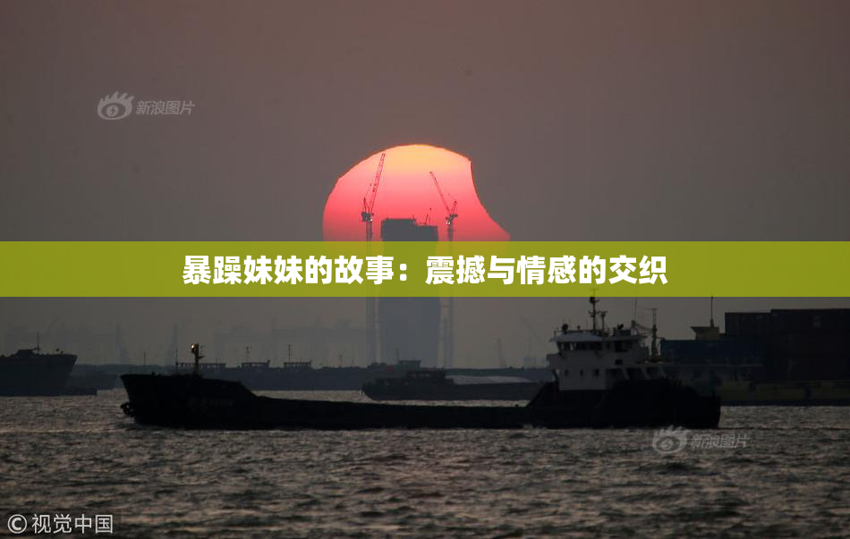 暴躁妹妹的故事：震撼与情感的交织