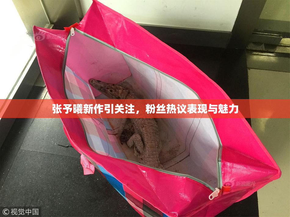 张予曦新作引关注，粉丝热议表现与魅力