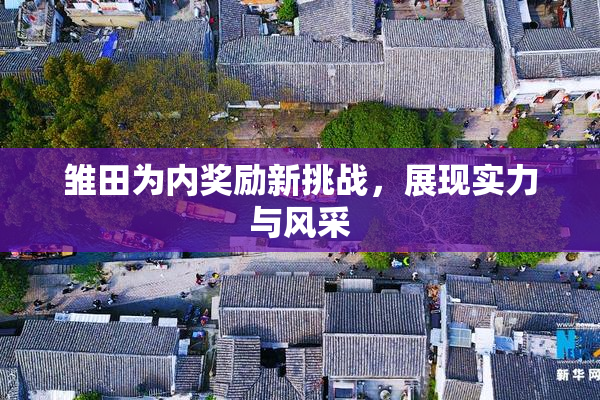 雏田为内奖励新挑战，展现实力与风采