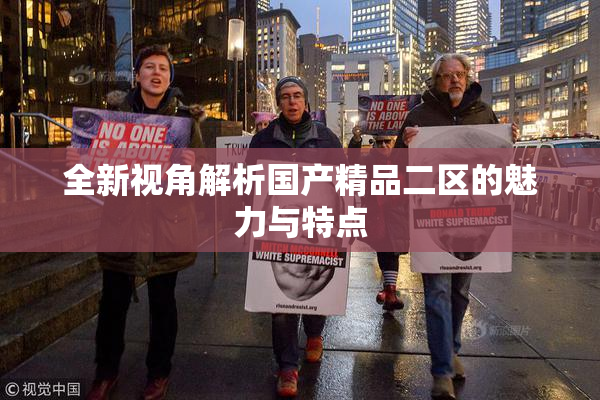 全新视角解析国产精品二区的魅力与特点