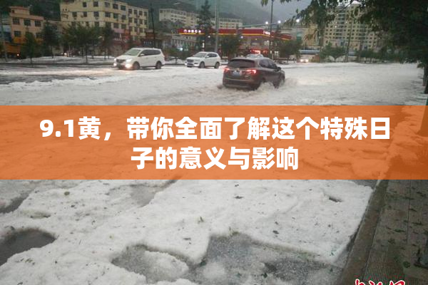 9.1黄，带你全面了解这个特殊日子的意义与影响