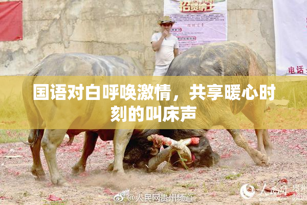 国语对白呼唤激情，共享暖心时刻的叫床声
