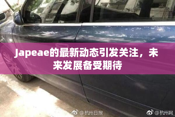 Japeae的最新动态引发关注，未来发展备受期待