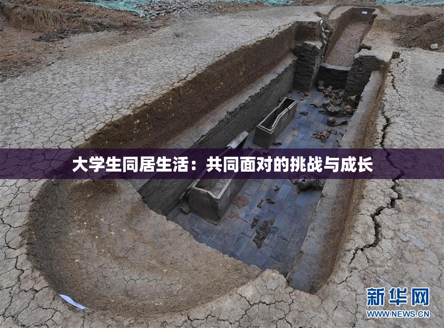 大学生同居生活：共同面对的挑战与成长
