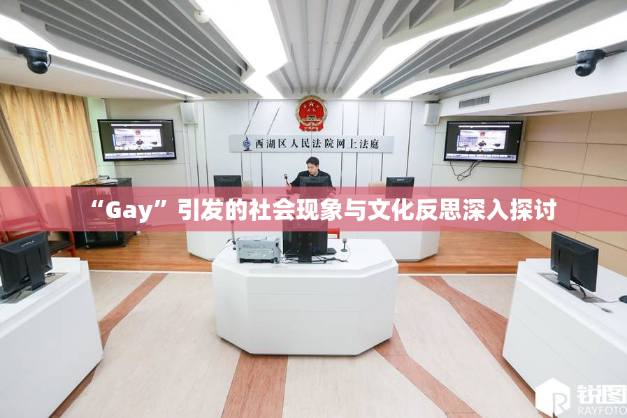 “Gay”引发的社会现象与文化反思深入探讨