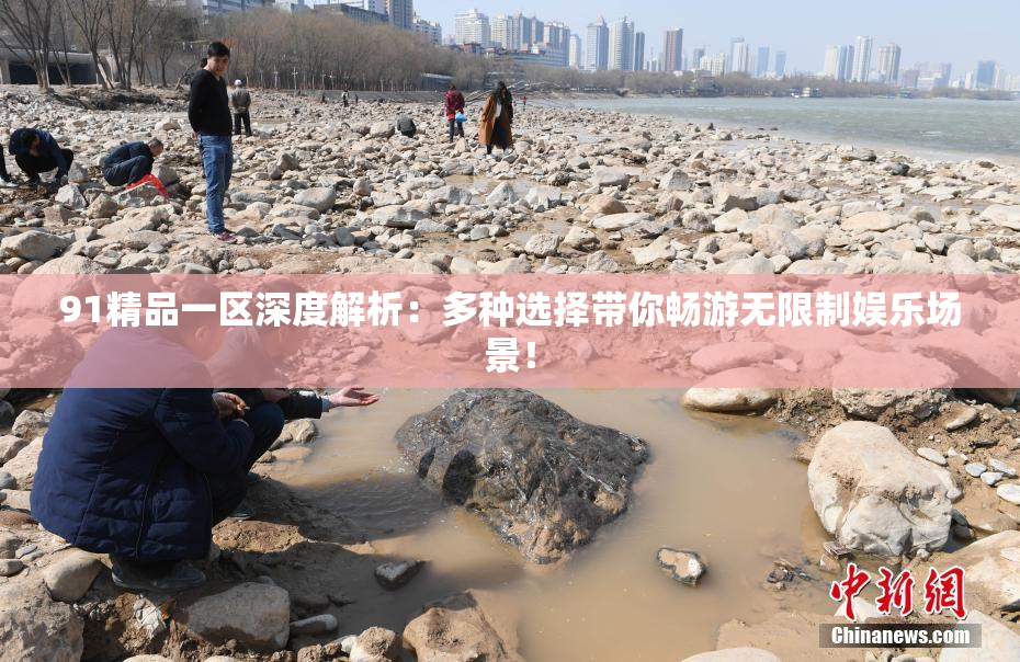 91精品一区深度解析：多种选择带你畅游无限制娱乐场景！