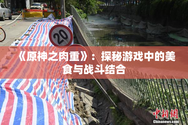 《原神之肉重》：探秘游戏中的美食与战斗结合