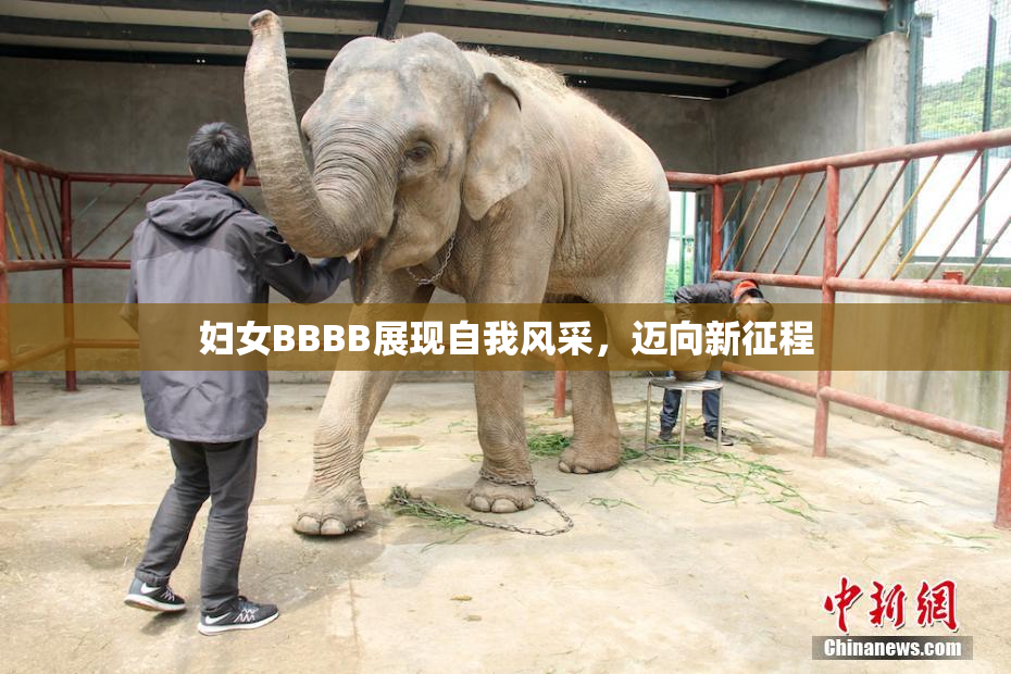 妇女BBBB展现自我风采，迈向新征程