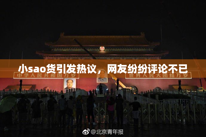 小sao货引发热议，网友纷纷评论不已
