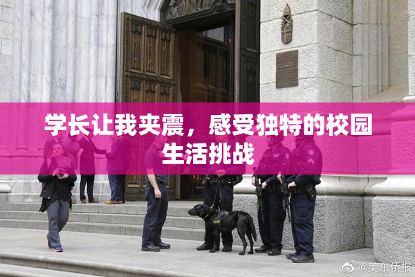 学长让我夹震，感受独特的校园生活挑战