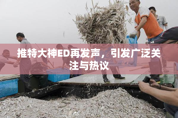 推特大神ED再发声，引发广泛关注与热议